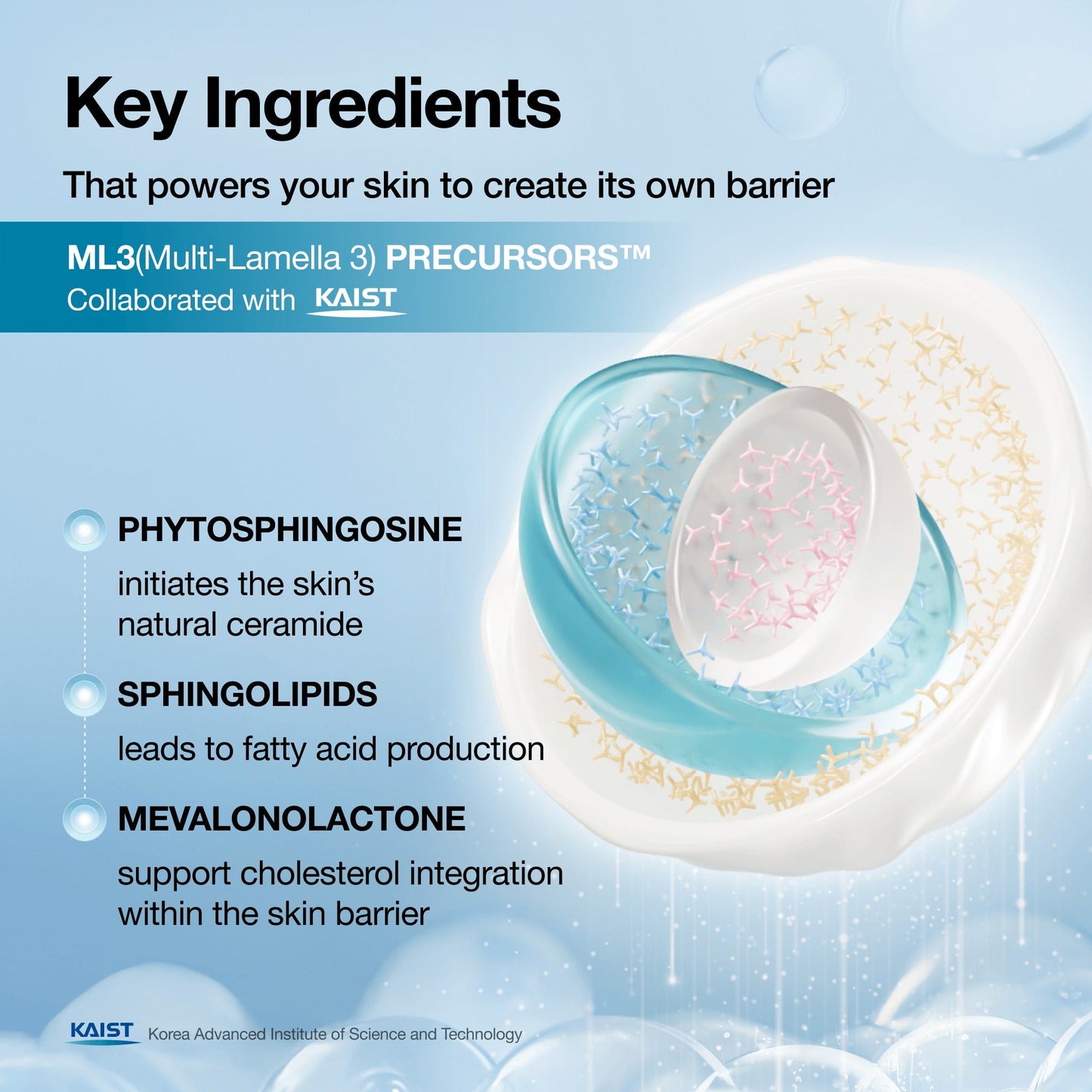 Barrier Reboot Intensive Cream